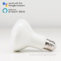 Music Led Bulb Lamp Alexa Tuya Voice Control